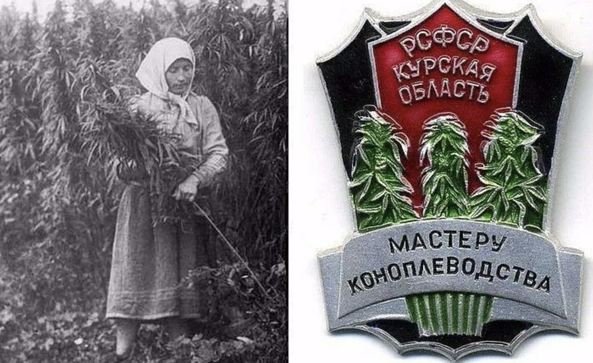 Источник: blog.stanis.ru