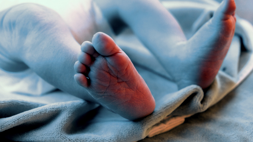    Фото: © РИА Новости/Павел Львов