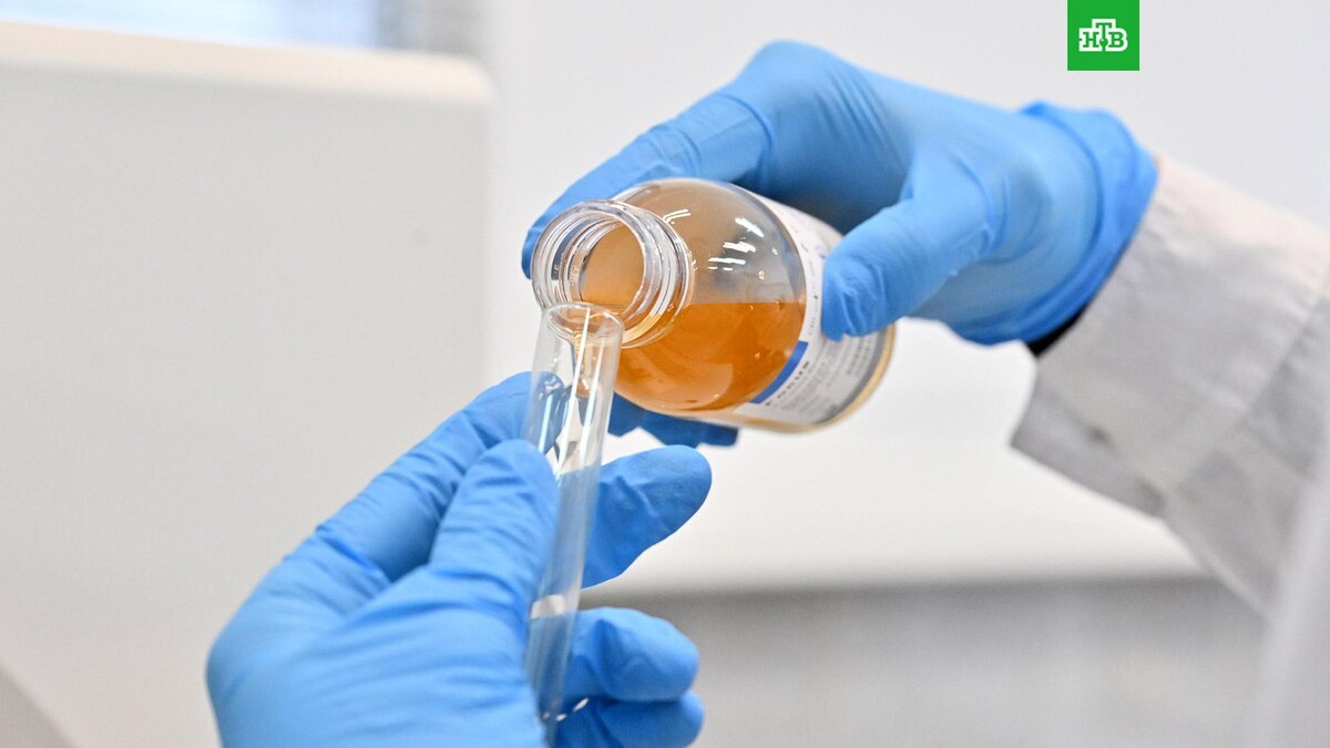    Фото: РИА Новости © 2026, Евгений Биятов