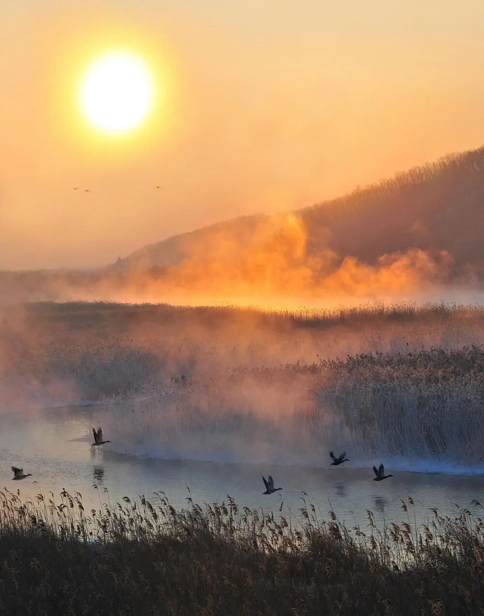 Провинция Хэйлунцзян (КНР). Источник: WeChat