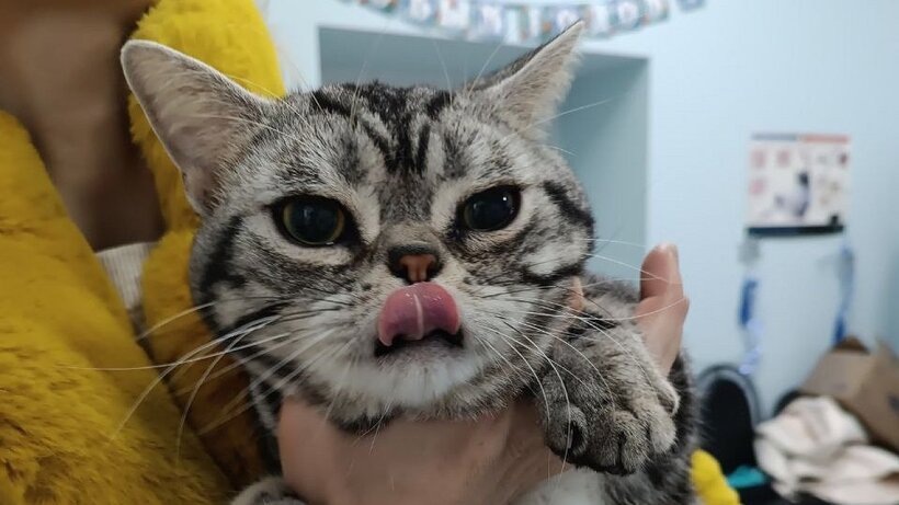   Фото: управление по делам ветеринарии по Саратовской области