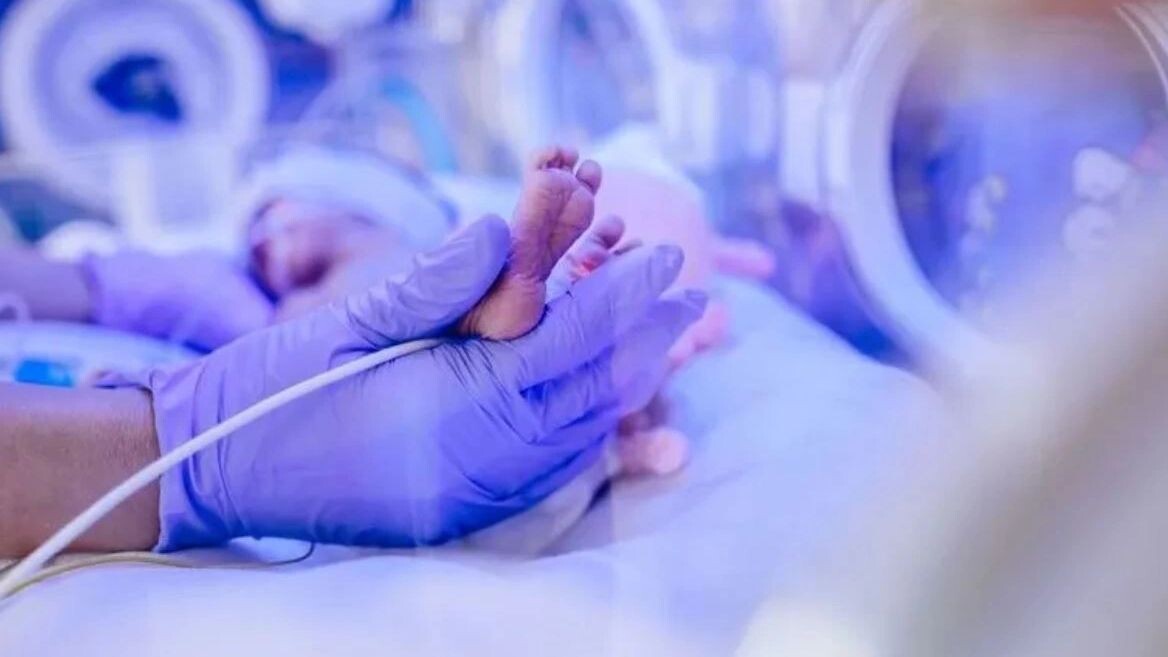    Фото: Iryna Inshyna/Shutterstock/Fotodom