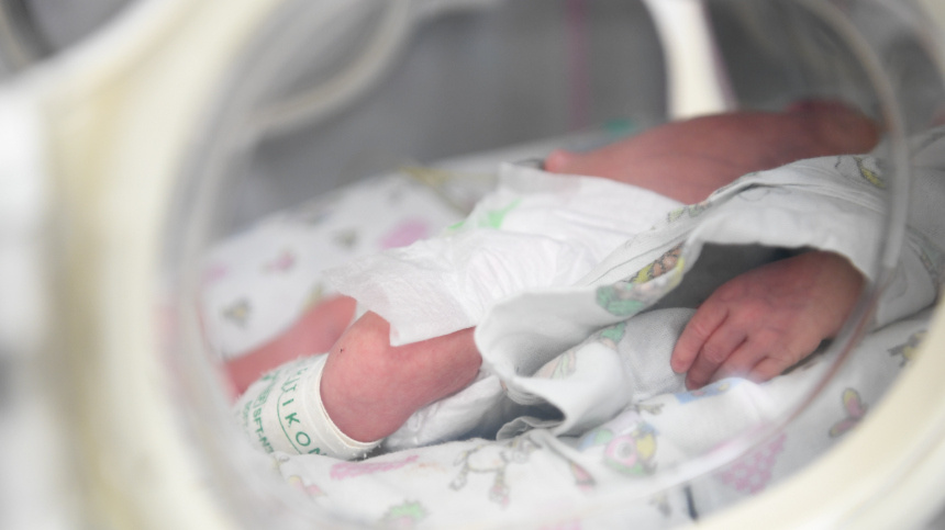    Фото: © РИА Новости/Павел Бедняков