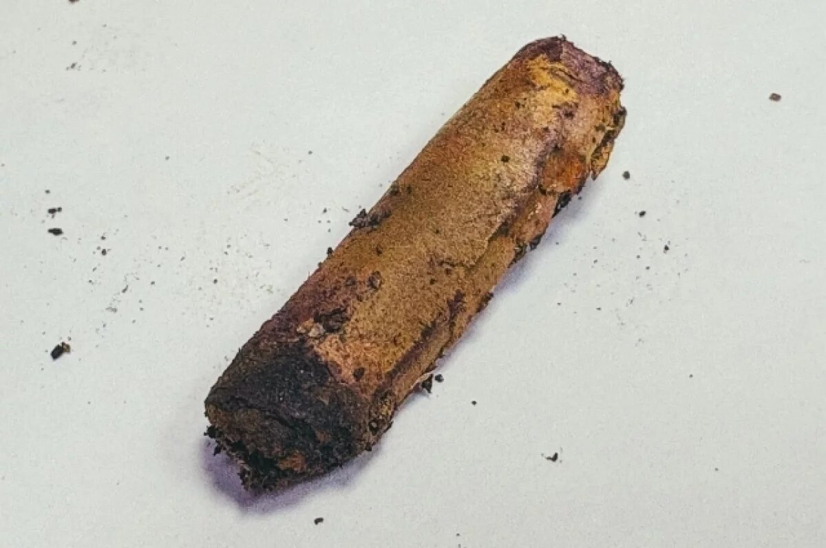    Установили судьбу красноармейца, останки которого нашли в Тверской области