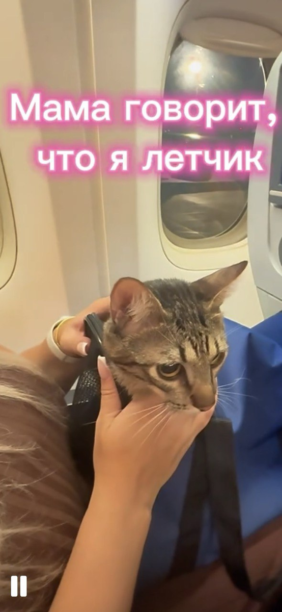 переживаю в самолете