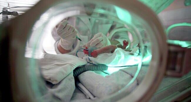    РИА «Новости»