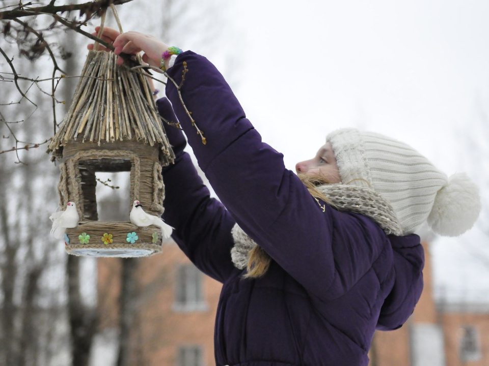    Фото: медиасток.рф