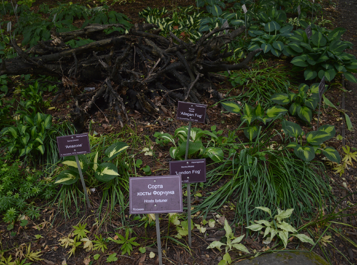 Все фотографии в статье мои