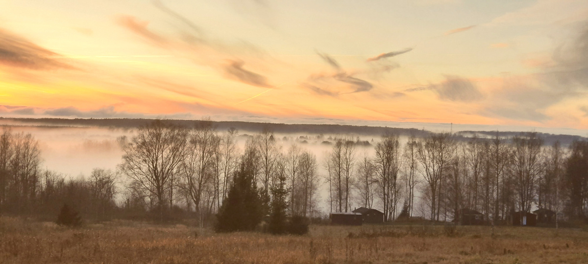 Кемпинг ТехноХутор, домики и банька, вид с капитанского мостика