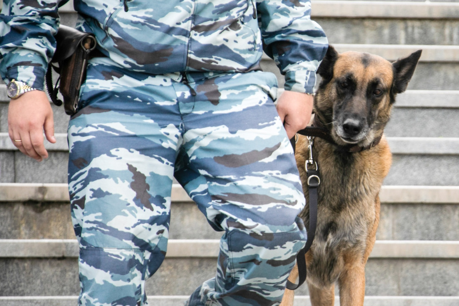    Александра Погиба/NEWS.ru