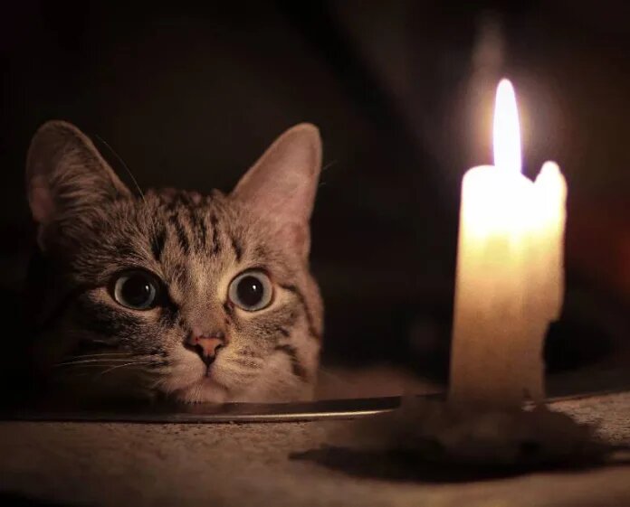    Источник фото: pinterest.com