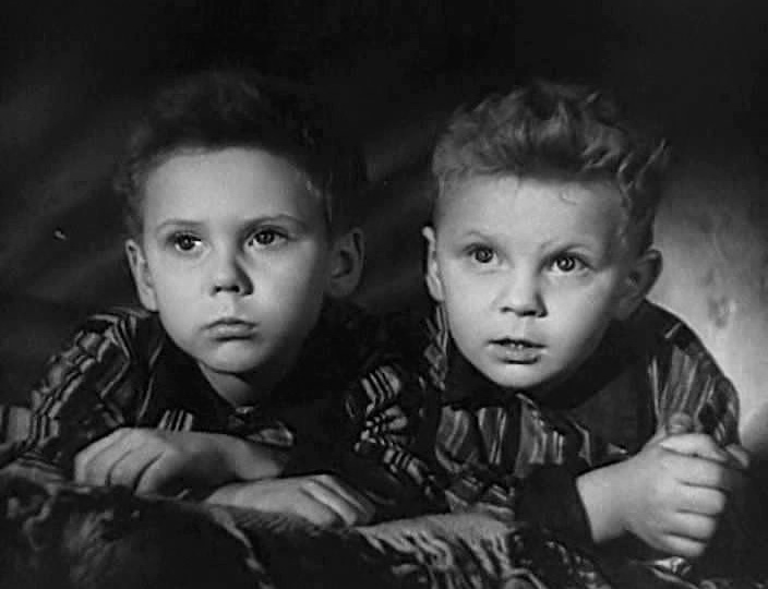 «Крепко любить и беречь эту огромную счастливую землю!» — отзыв о рассказе Аркадия Гайдара «Чук и Гек»