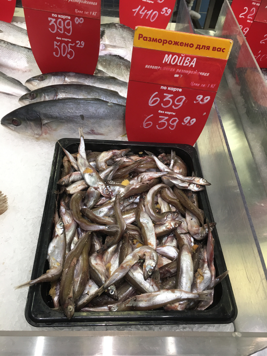 Как в песне: «Всё выше, и выше, и выше…»