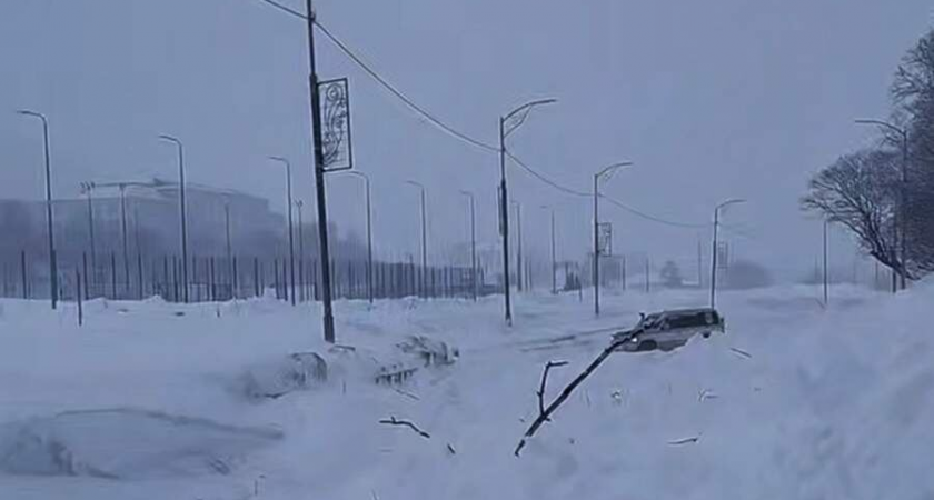    Фото: t.me/vsolodovbrief