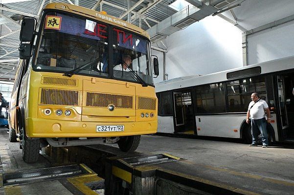 Фото: Telegram/Сочи Официальный  📷
