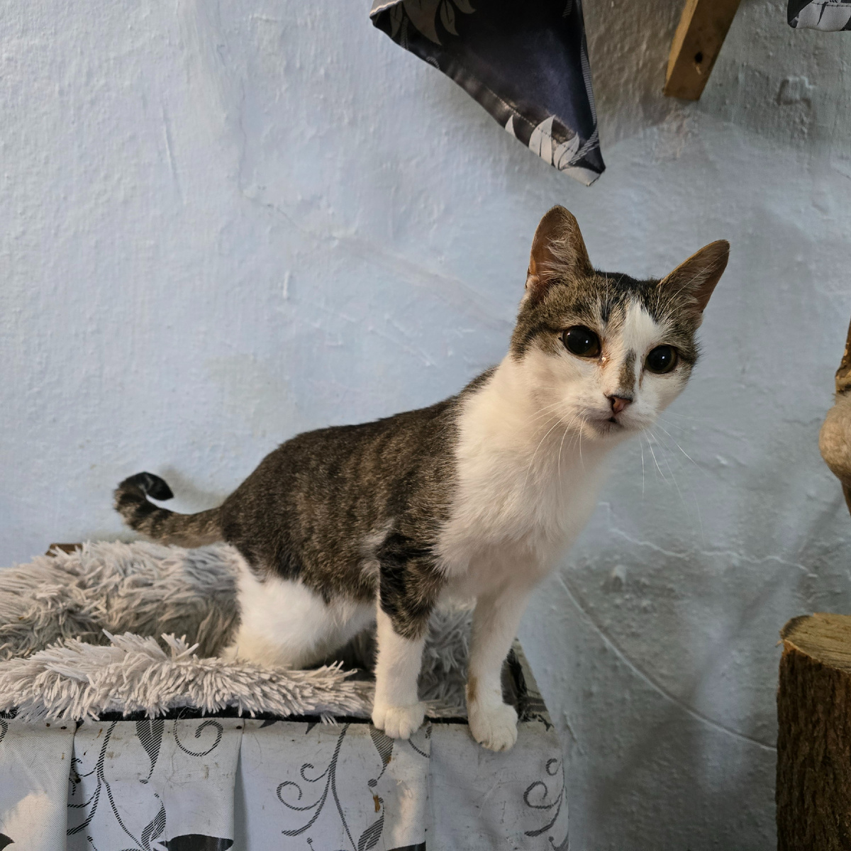 маленькое сердце полное любви