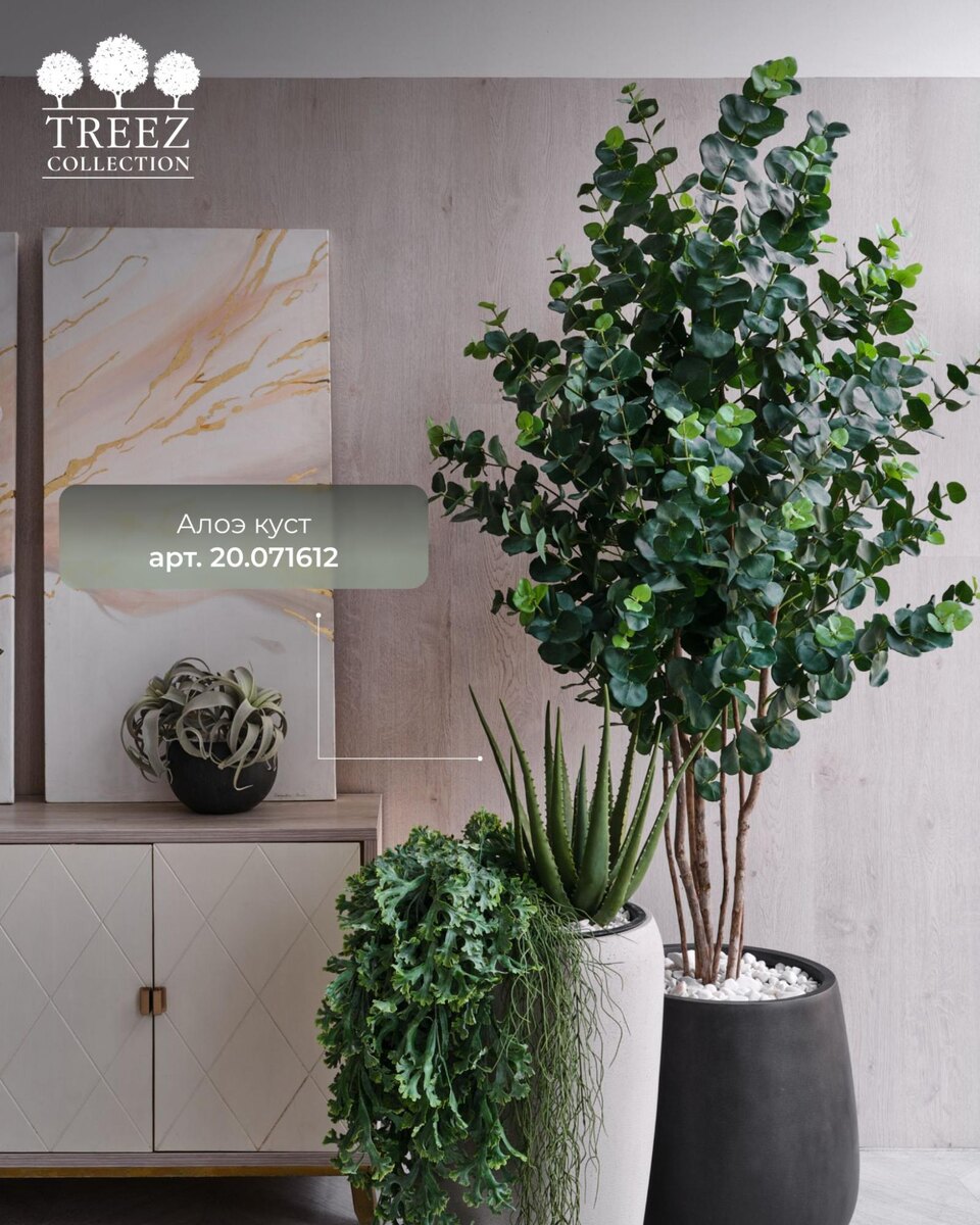 Кашпо и растения TREEZ Collection