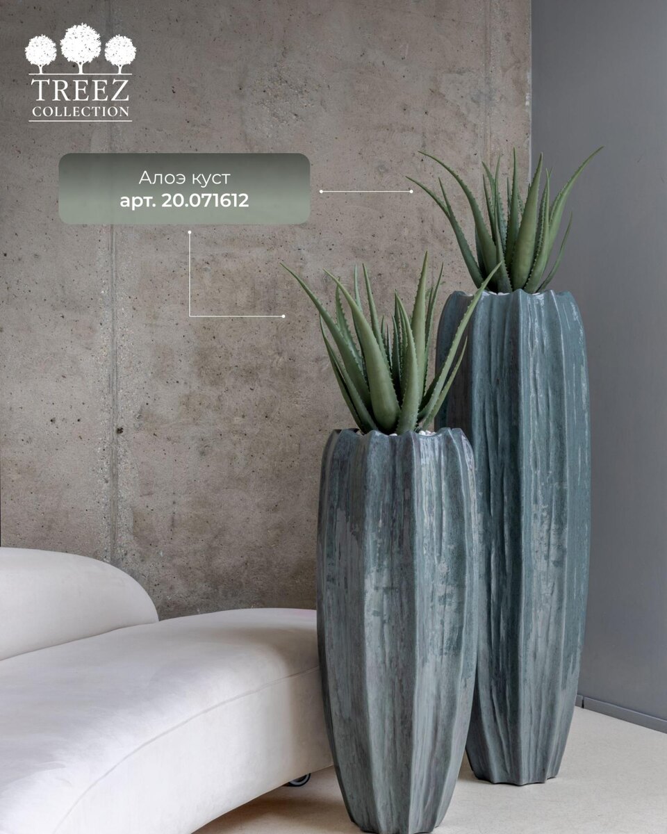 Кашпо и растения TREEZ Collection