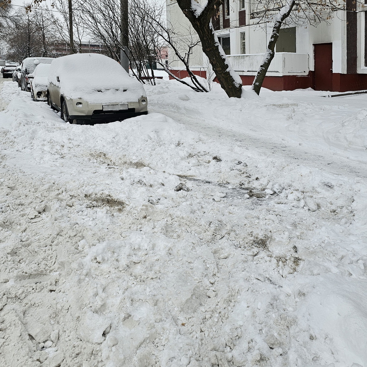 Почти расчищенное мной парковочное место. Здесь хотя бы по тротуару можно ходить. Но и снег приходилось через него перекидывать, что порядком усложняло задачу