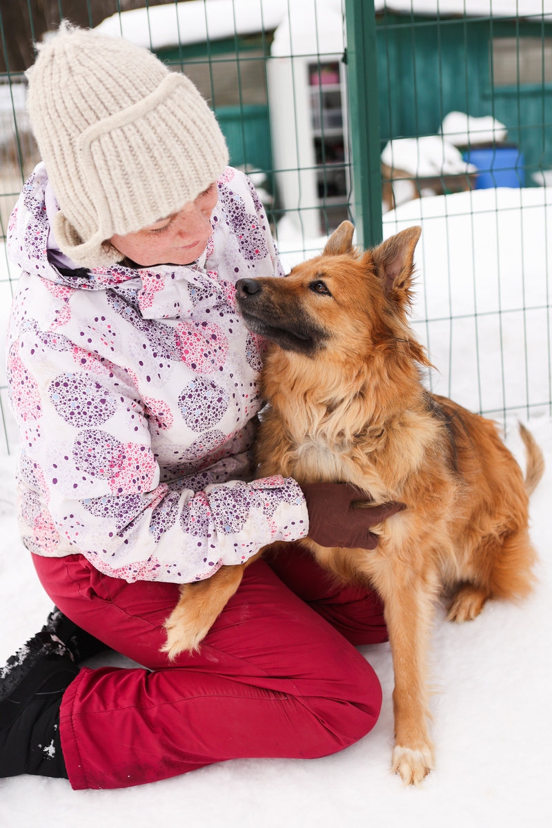 Может меня расчесать сперва, а потом людям показывать? Наверное с кудрями-колтунами люди не разглядят во мне самую лучшую собаку на свете?