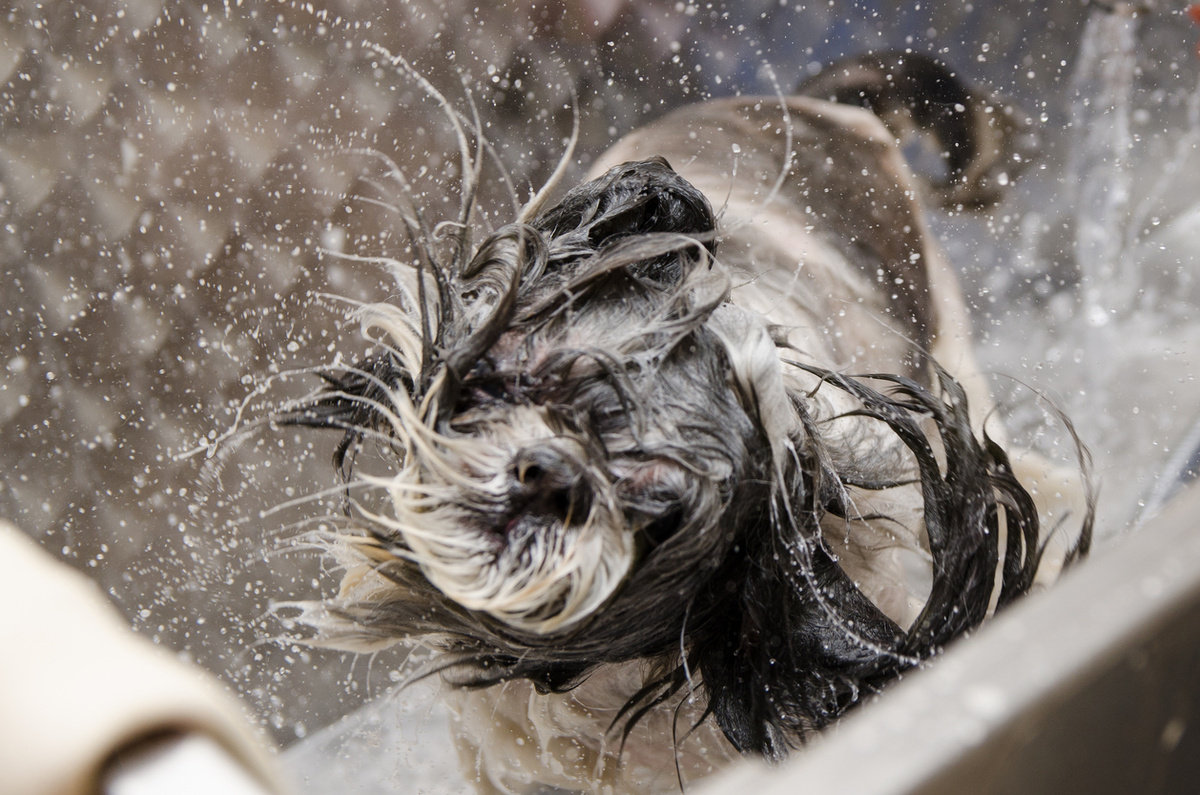    Еще один миг, и все капли будут на стенах!