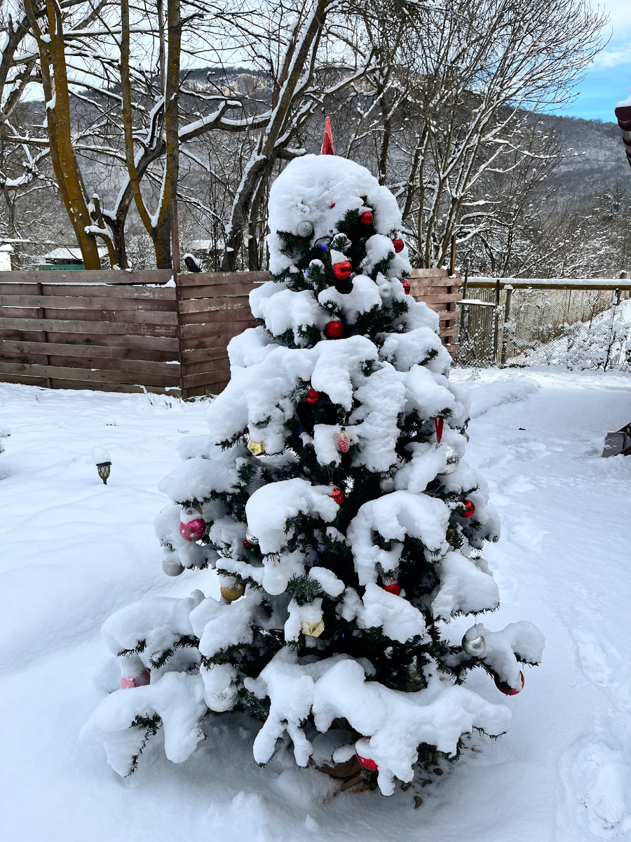 Этот снимок сделан 28 декабря, до снегопада.