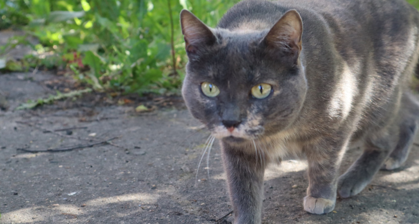    Фото из архива редакции