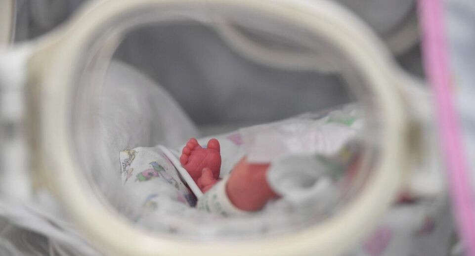    РИА «Новости»