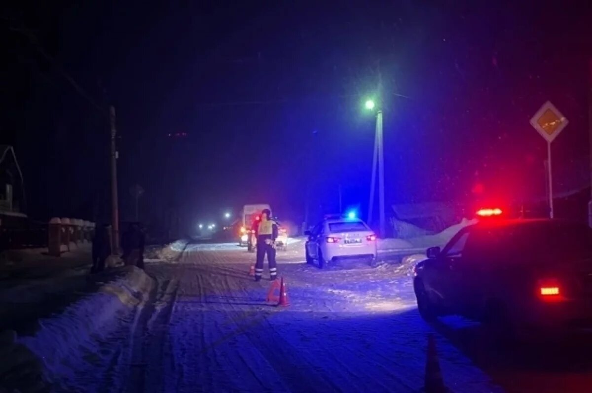    Водитель пассажирского микроавтобуса сбил двух пешеходов в поселке Висим