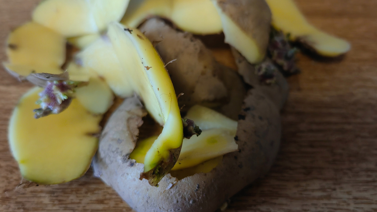 Правильно высушенные очистки - основа успеха