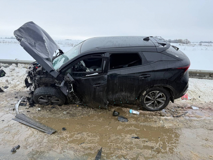     Фото УМВД по Рязанской области