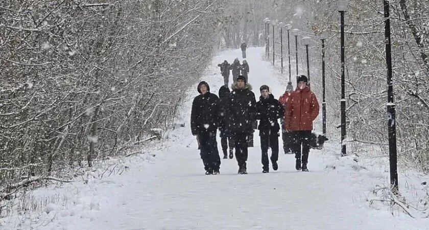    Фото progorod43.ru