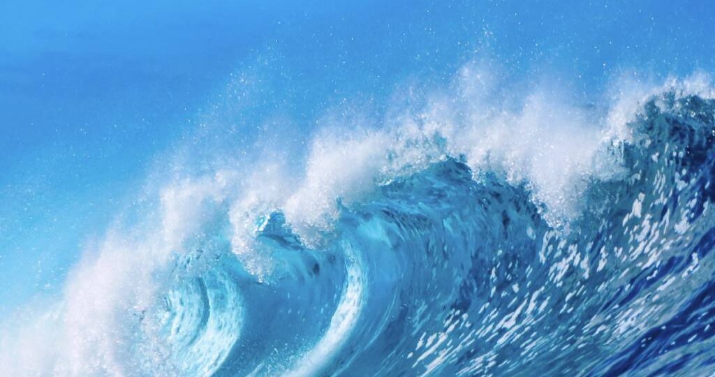 ⚡️ Как бизнес готовится к волне роста цен на старте 2026 года