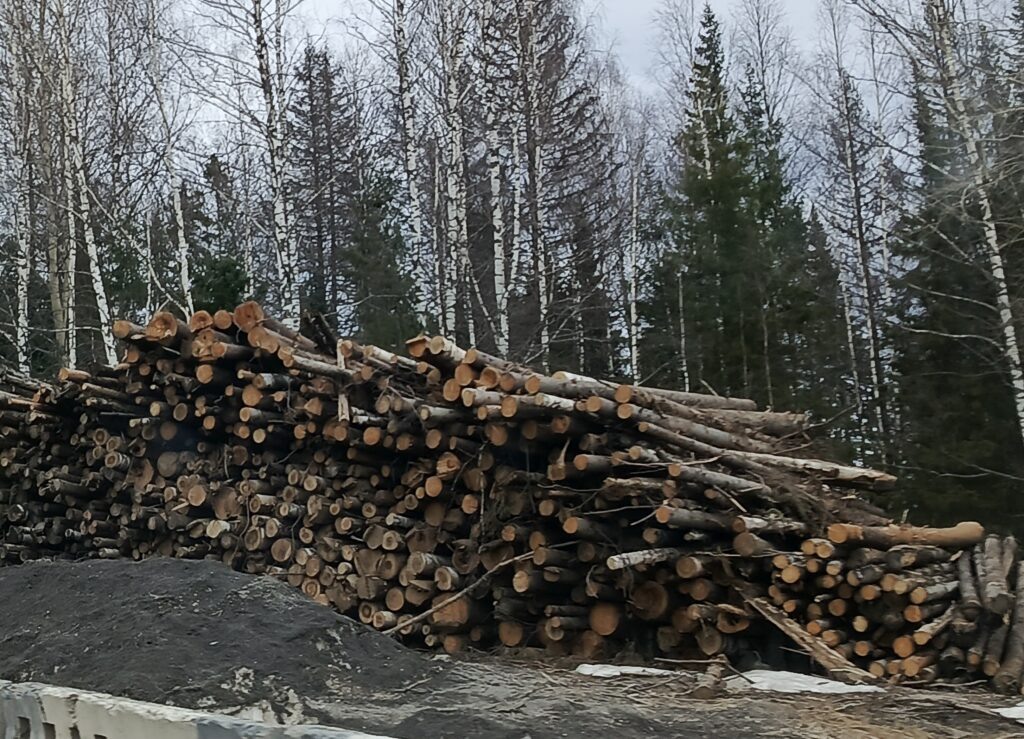    Фото: В курсе.ру Ульяна Бажанова