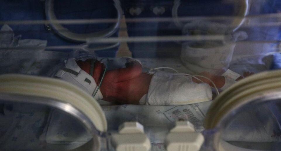    РИА «Новости»