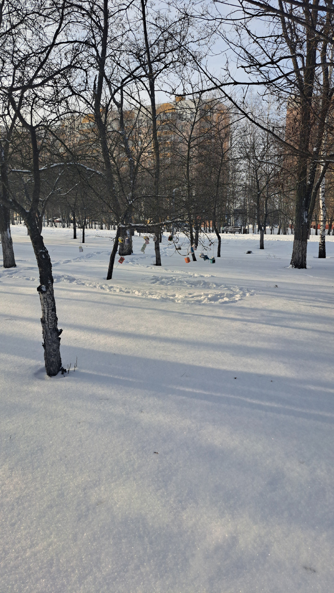 Импровизированные кормушки сделаны воспитанниками детского сада)