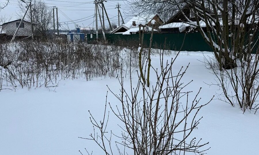 Может ли приходно-расходная смета СНТ включать в себя «переменную часть»?