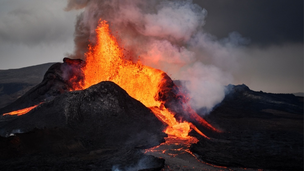    Фото: Florian Nimsdorf/Shutterstock/FOTODOM