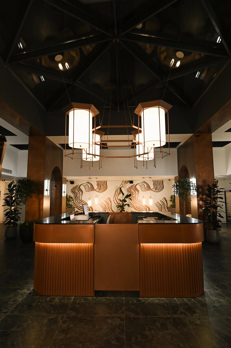 Входная группа  вапарт-отеле VIDI близ Невского проспекта от команды IV Design