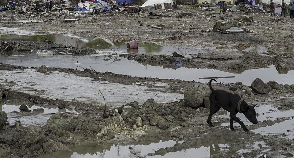    Edy Susanto / www.globallookpress.com