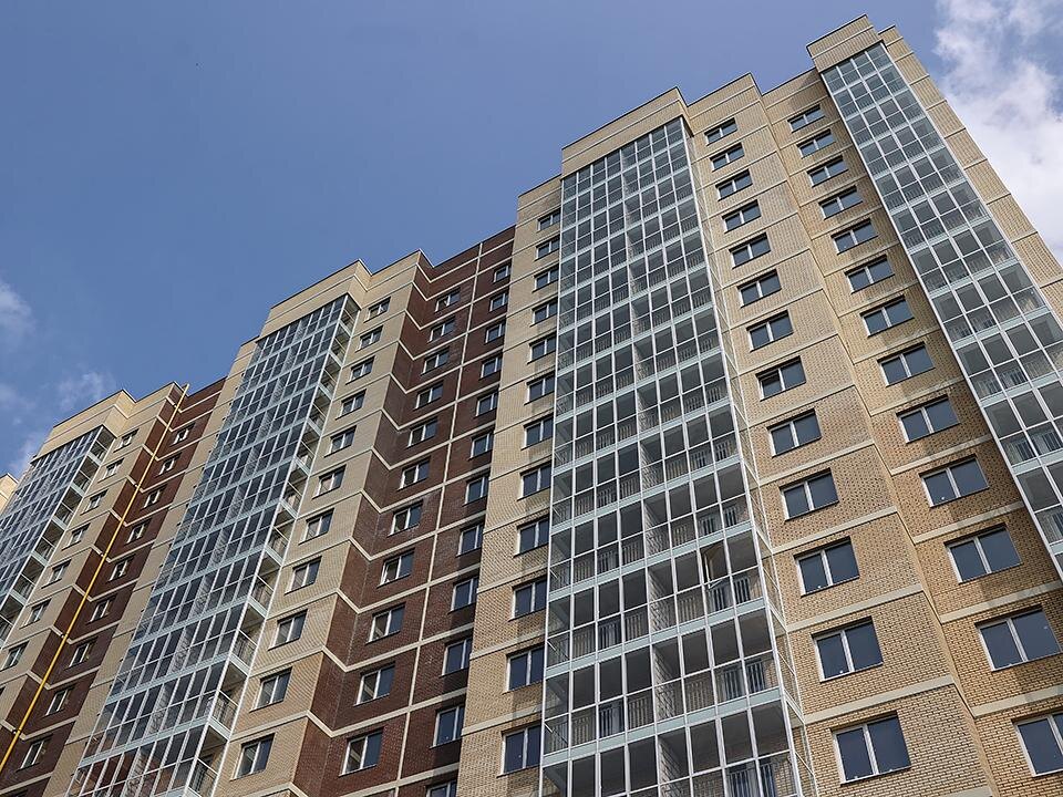    Фото: пресс-служба губернатора и правительства Московской области/Екатерина Агеева