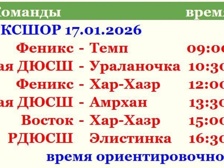     Фото: РФСОО "Федерация волейбола Калмыкии"