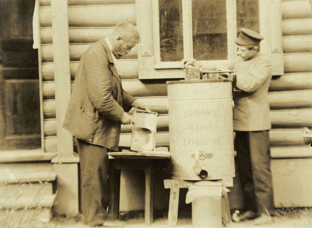 Отбор меда на медогонке