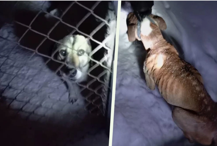 Фото: Андрей Изосимов