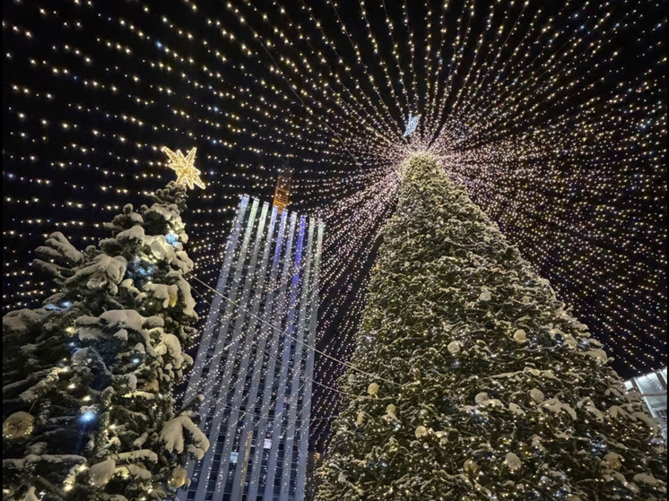     Фото «МК в Архангельске»