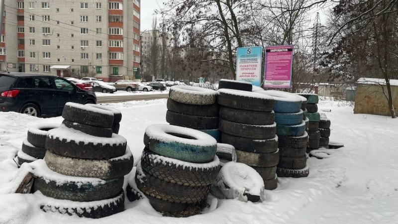     © фото - ВК Курский Край