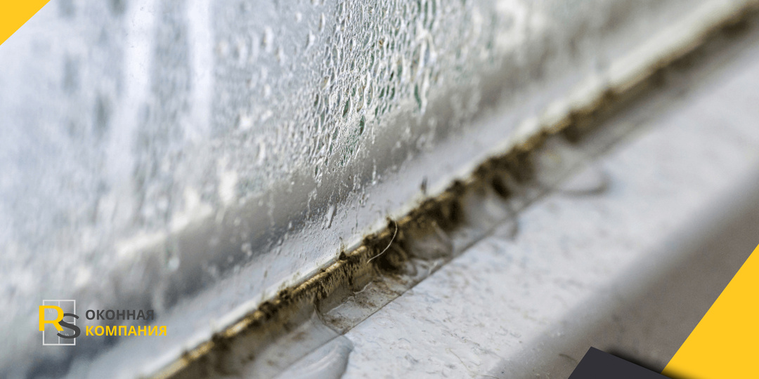 Конденсат на окнах — первый признак будущей плесени: причины и как бороться