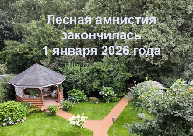 Лесная амнистия закончилась 31.12.2025 г