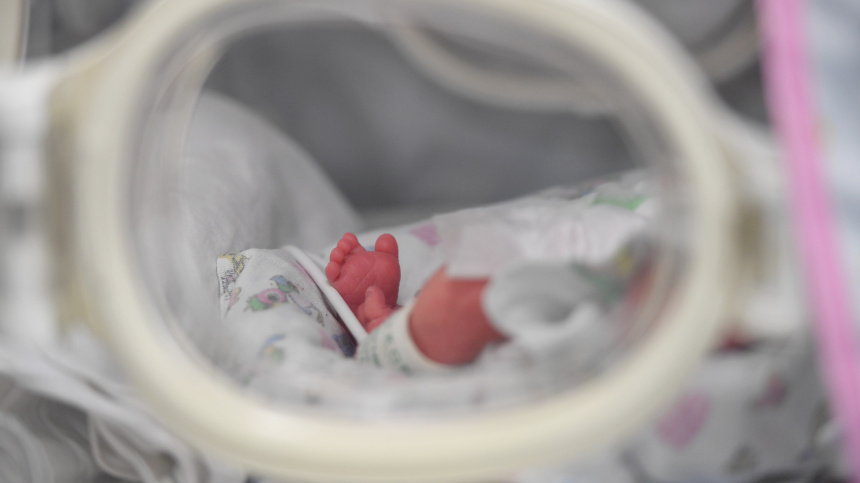    Фото: © РИА Новости/Павел Бедняковм