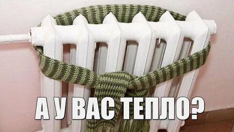   Фото: открытый источник